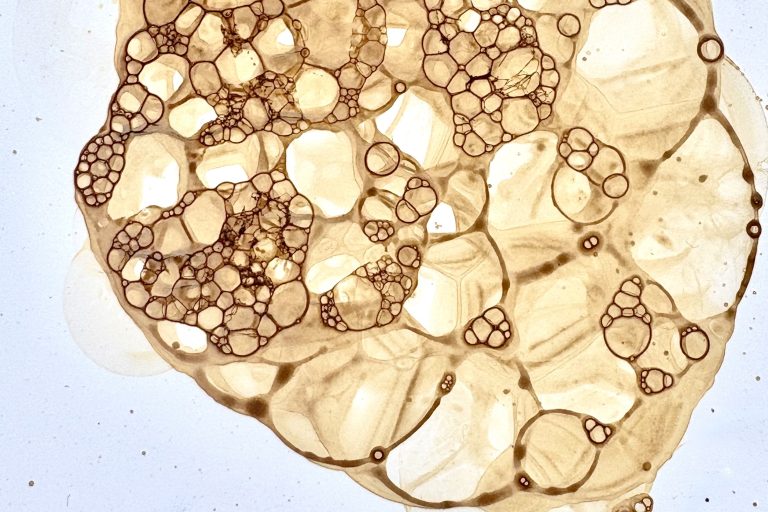 Bubbles created with coffee